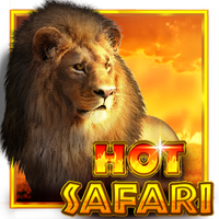 Hot Safari